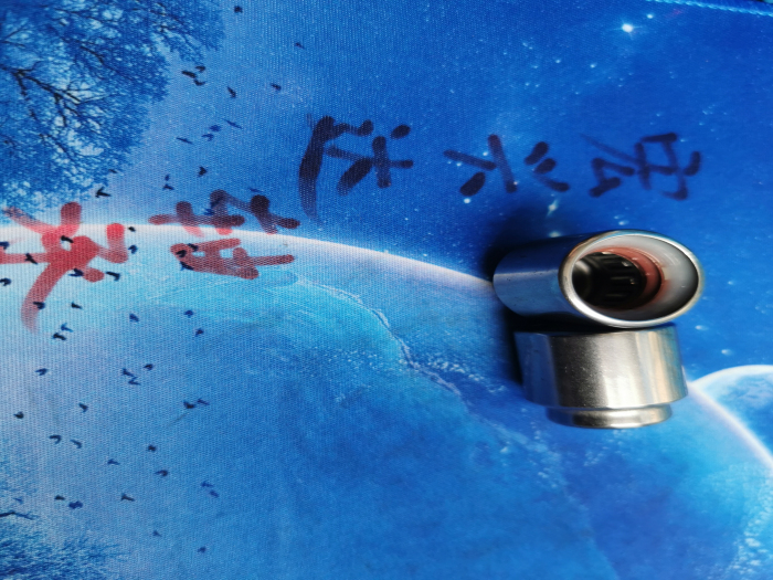 F113101非标轴承
